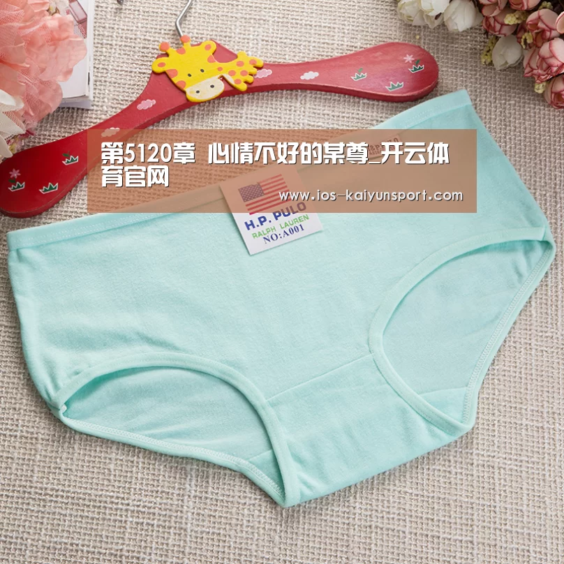 开云体育官网