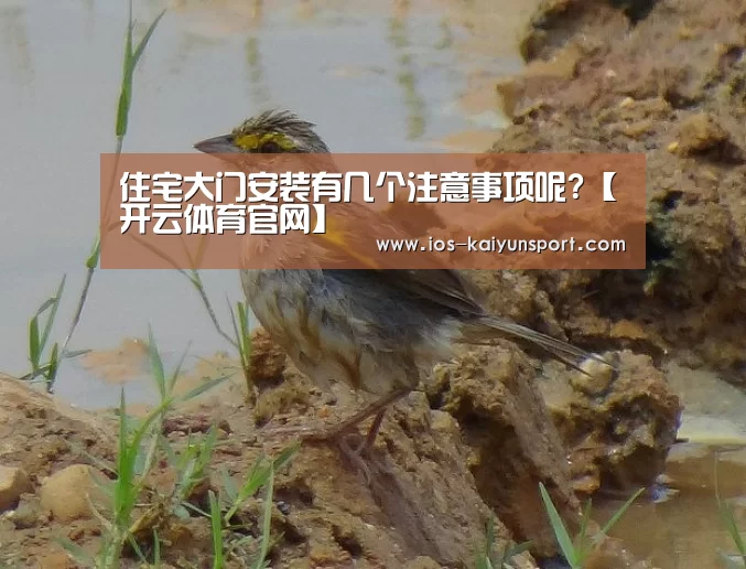 住宅大门安装有几个注意事项呢?【开云体育官网】(图2) 开云